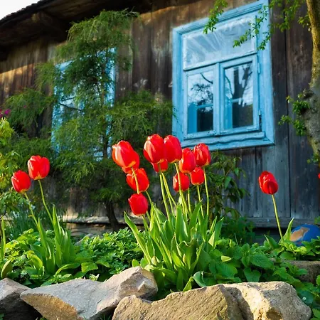 Kogutowo Mpr * Wietrzychowice