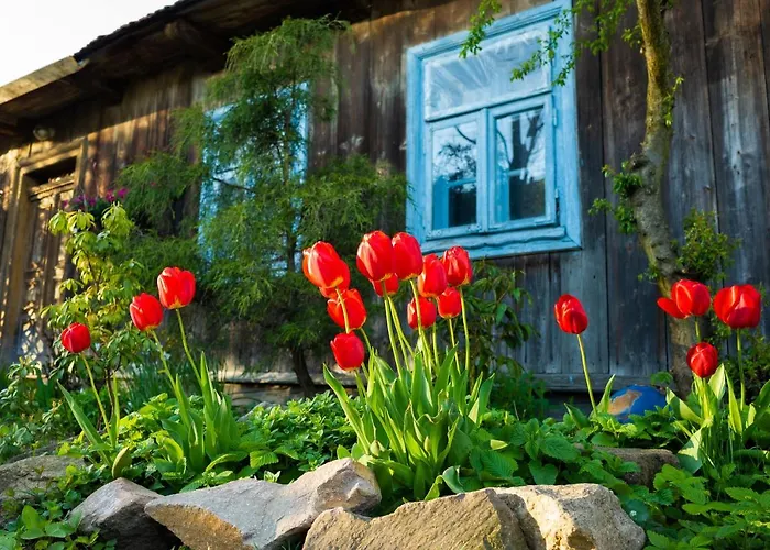 Kogutowo Mpr * Wietrzychowice